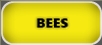 Verminators Bee Removal Gainesville